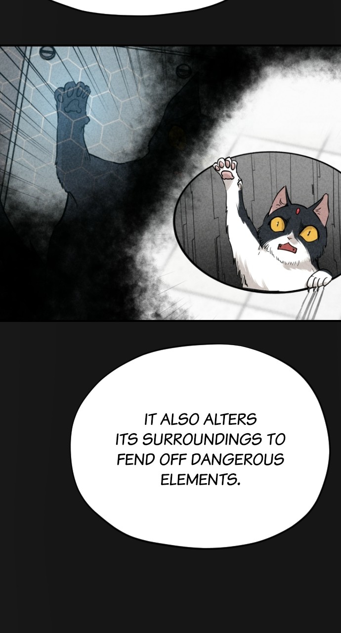 Meow Rangers Chapter 62 - page 21