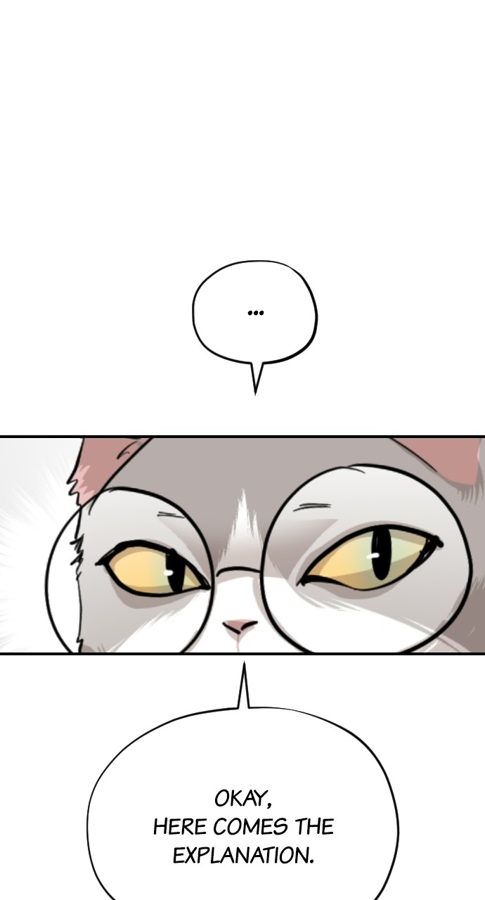 Meow Rangers Chapter 62 - page 46