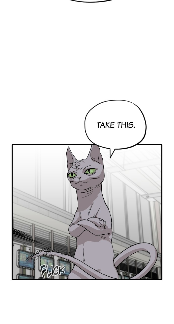 Meow Rangers Chapter 62 - page 65