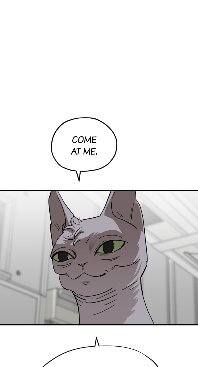 Meow Rangers Chapter 62 - page 67