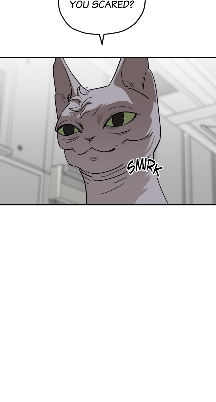 Meow Rangers Chapter 62 - page 70
