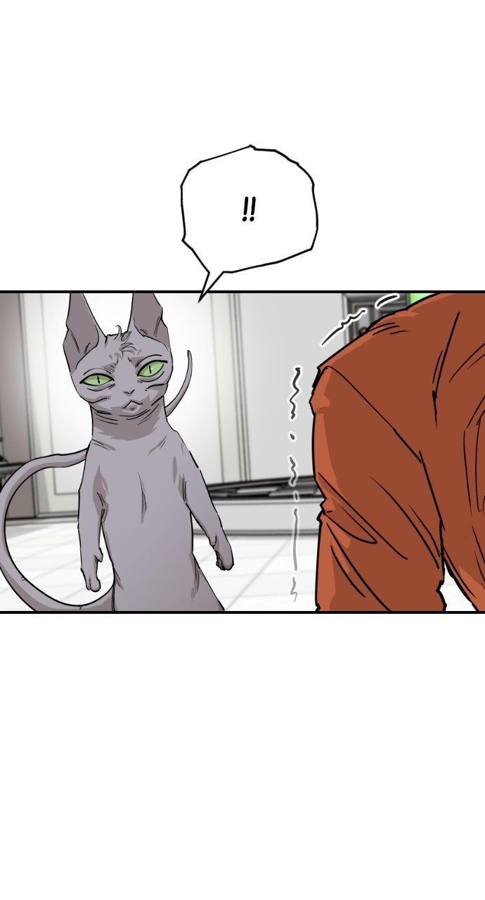 Meow Rangers Chapter 62 - page 84