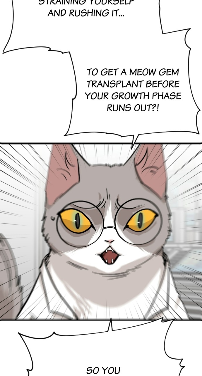 Meow Rangers Chapter 63 - page 17