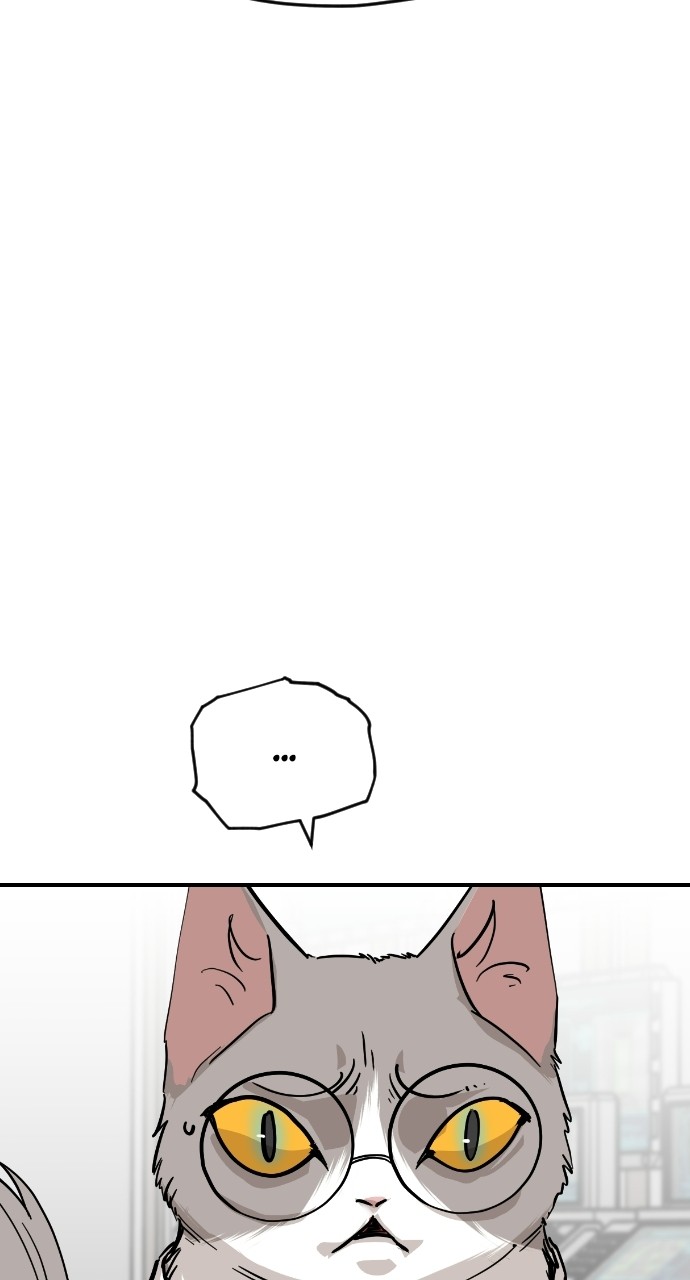 Meow Rangers Chapter 63 - page 21