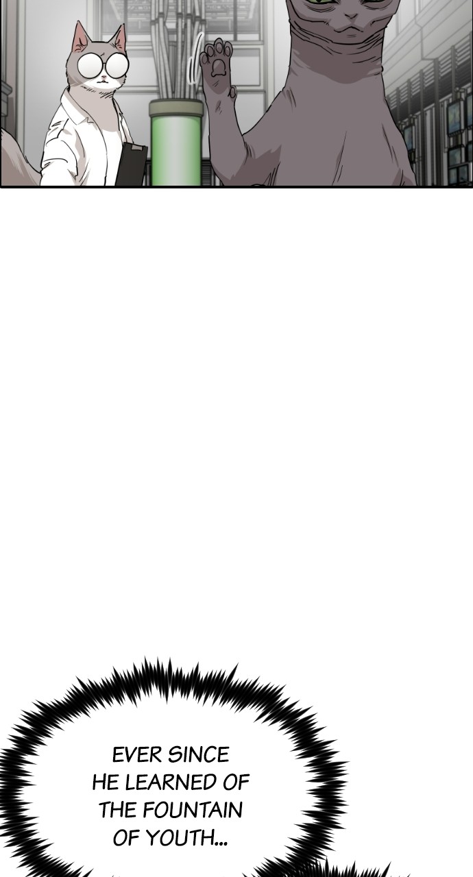 Meow Rangers Chapter 63 - page 23