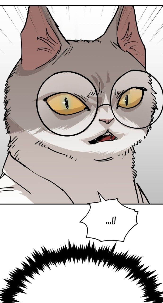 Meow Rangers Chapter 63 - page 28