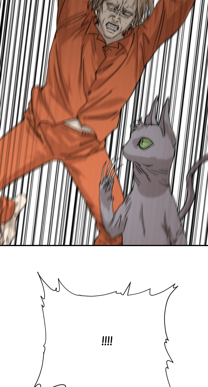 Meow Rangers Chapter 63 - page 35