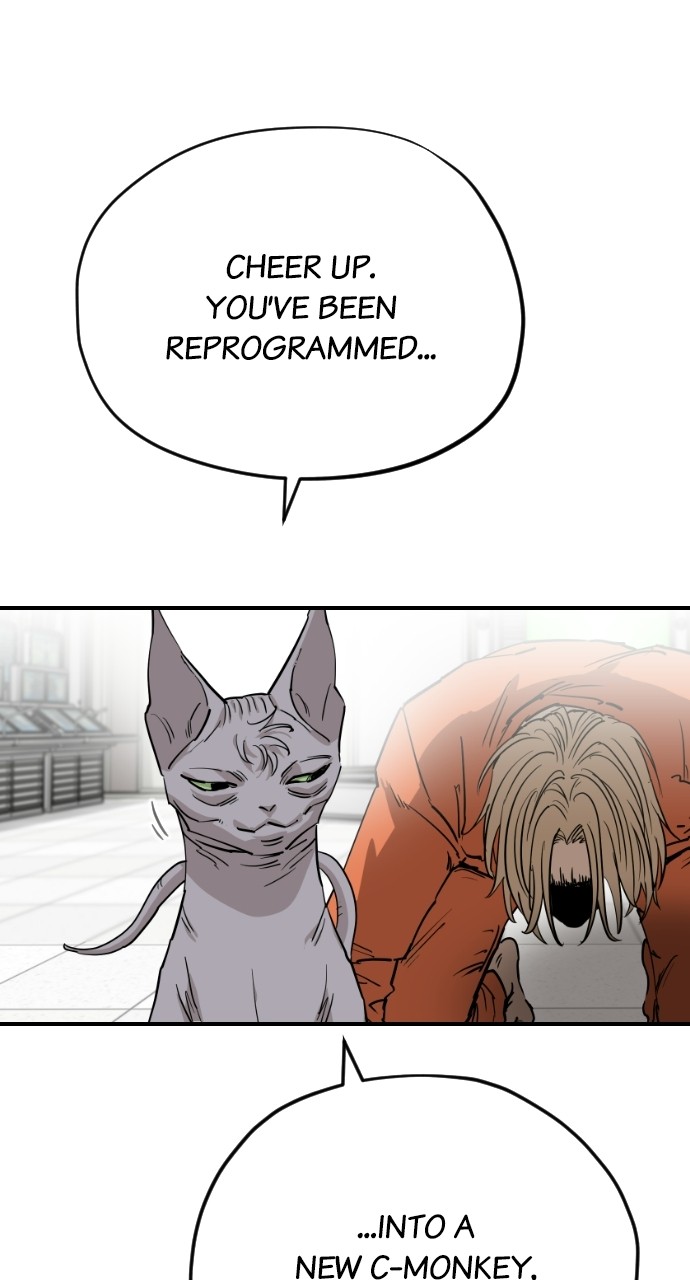 Meow Rangers Chapter 63 - page 4