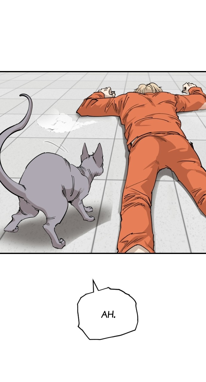 Meow Rangers Chapter 63 - page 42