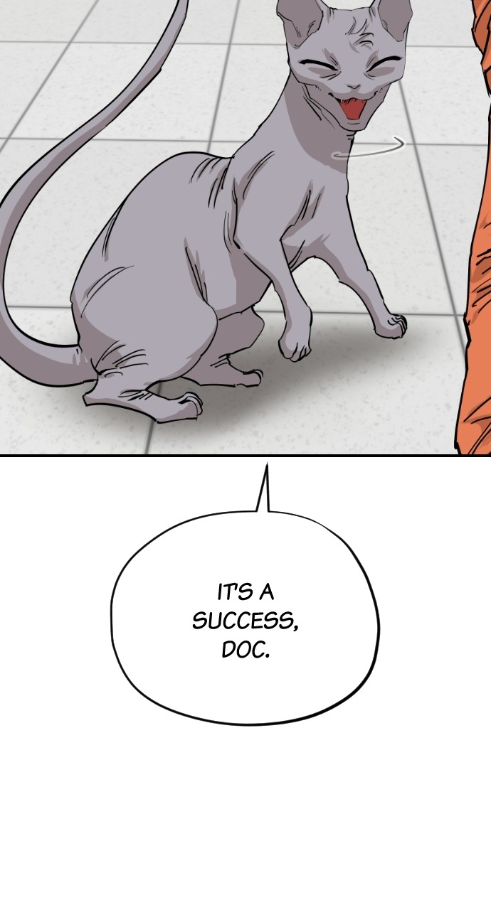 Meow Rangers Chapter 63 - page 44