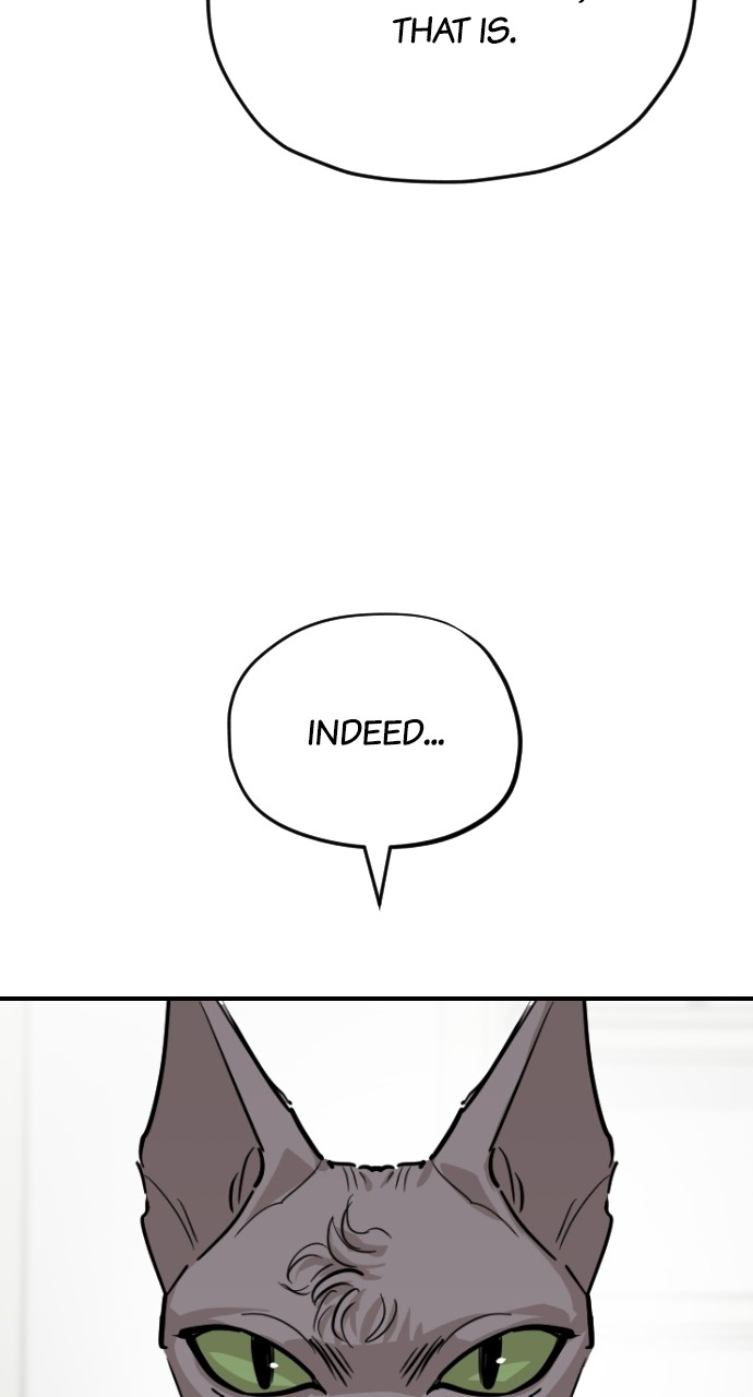 Meow Rangers Chapter 63 - page 5