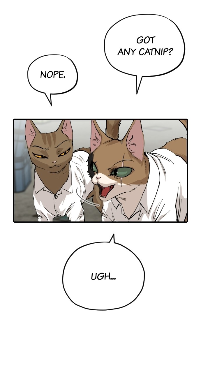 Meow Rangers Chapter 63 - page 54