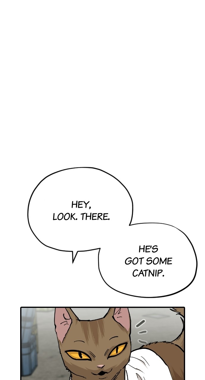 Meow Rangers Chapter 63 - page 55
