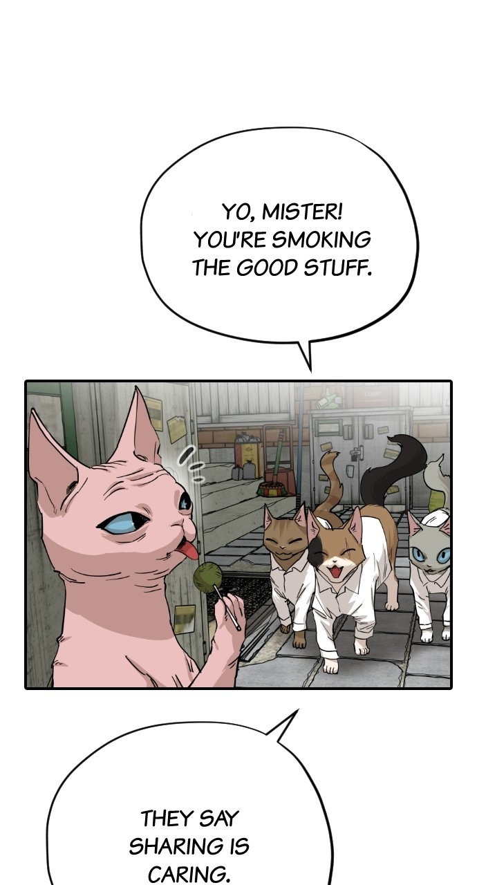 Meow Rangers Chapter 63 - page 58