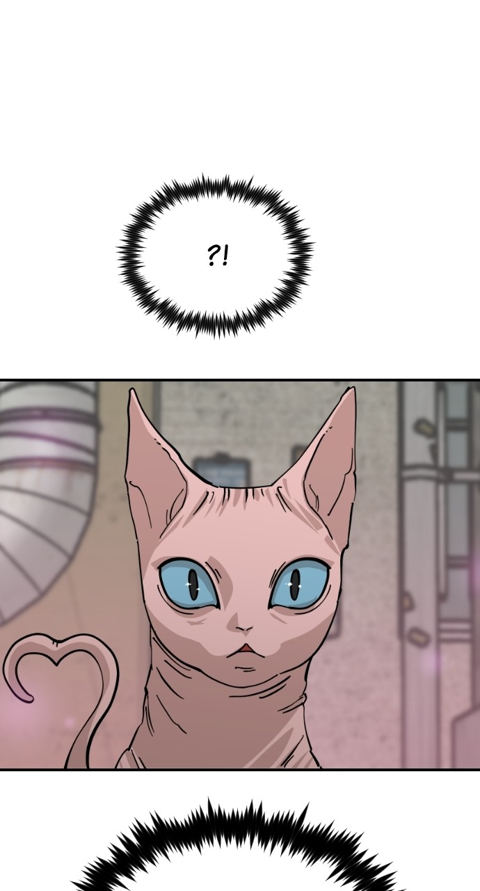 Meow Rangers Chapter 63 - page 92