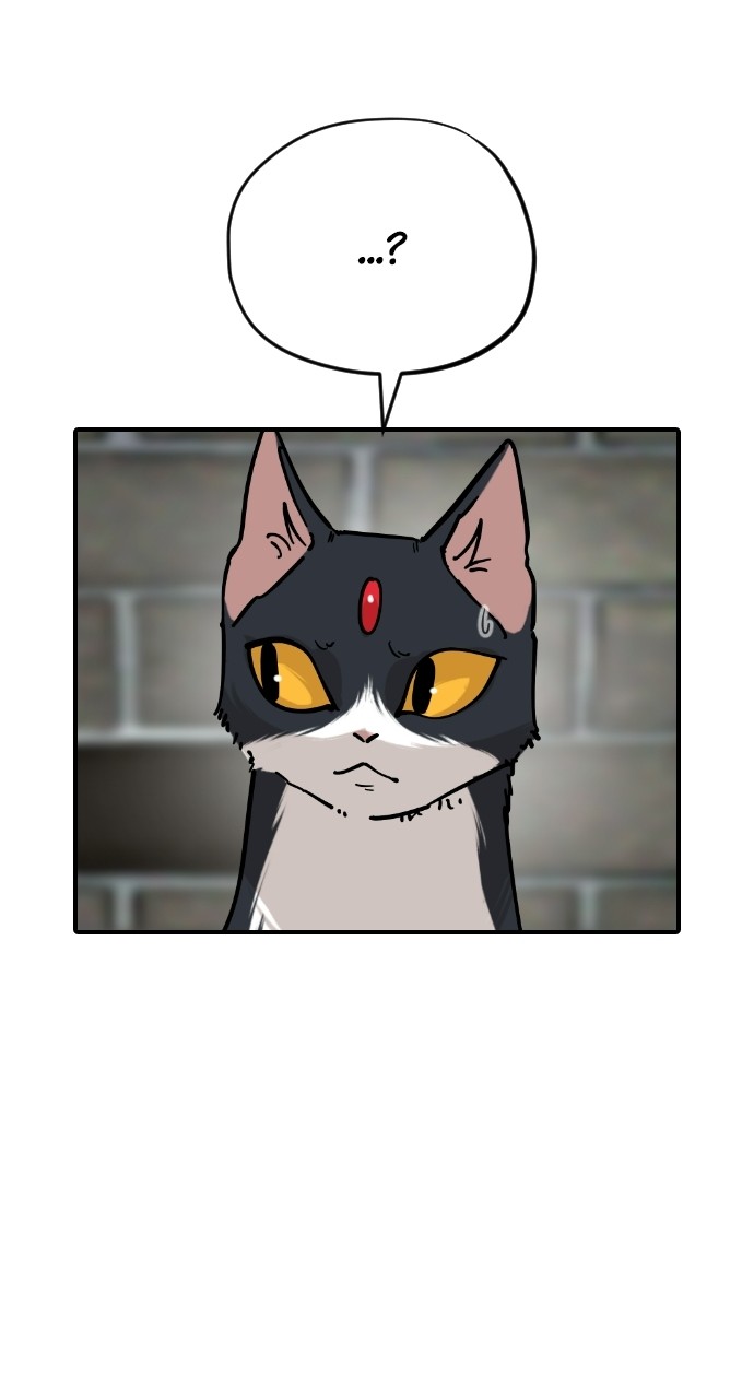 Meow Rangers Chapter 63 - page 95