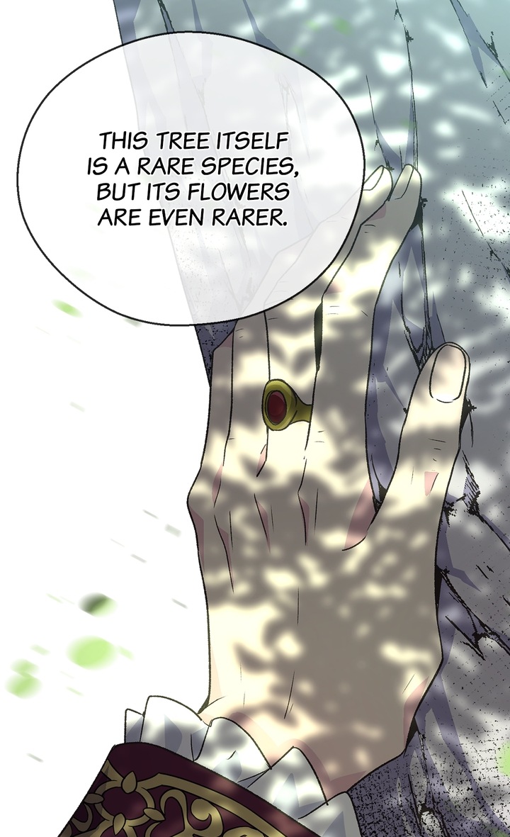The Abandoned Empress Chapter 72 - page 12