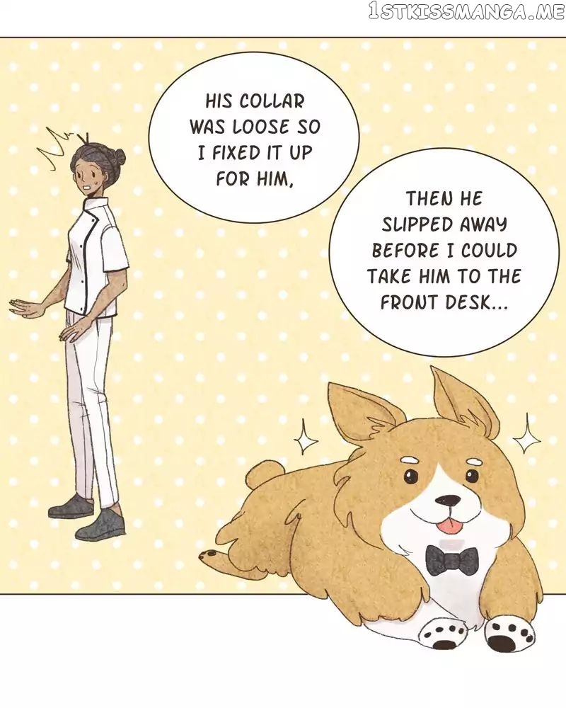 Gourmet Hound chapter 33 - page 41