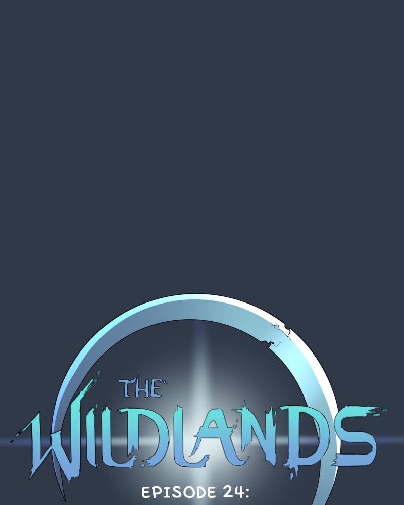 The Wildlands Chapter 24 - page 17
