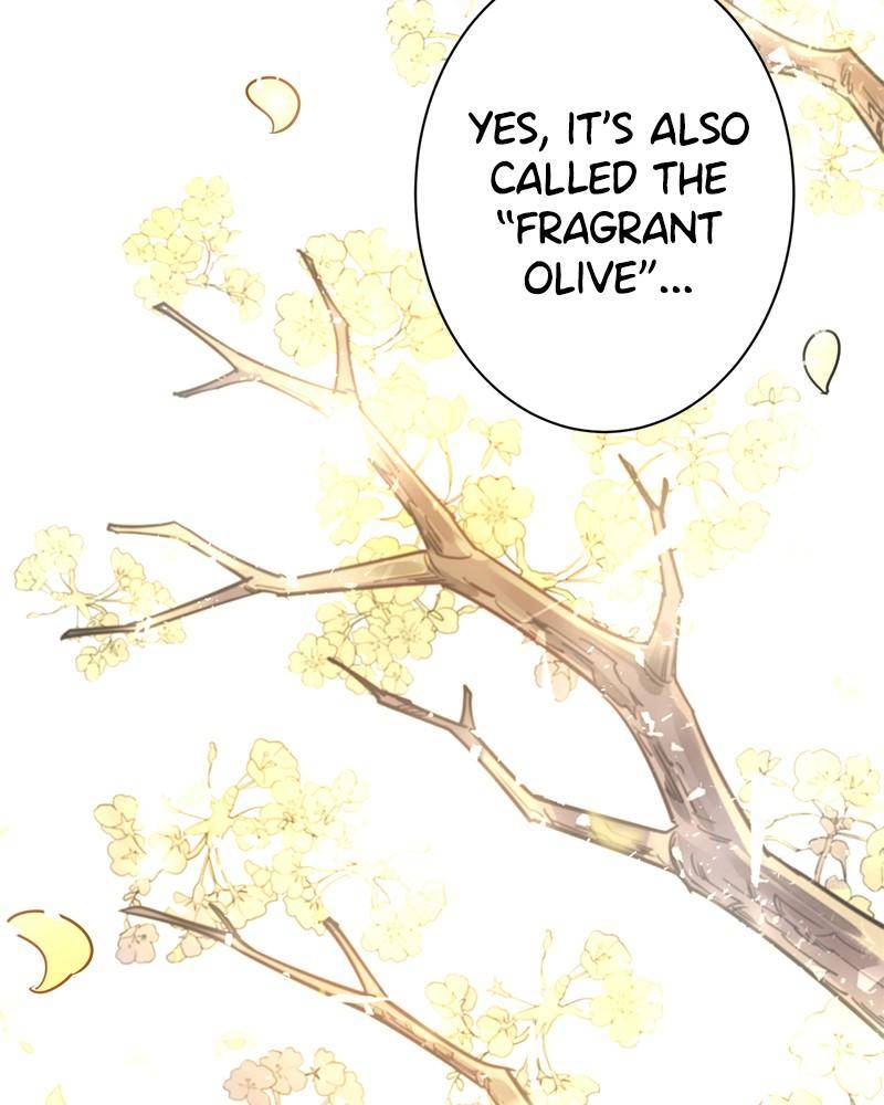Shadow Bride chapter 3 - page 109