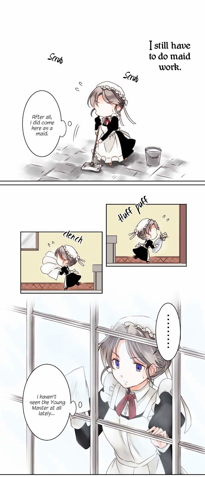 The Young Master and The Maid Chapter 2 - page 11