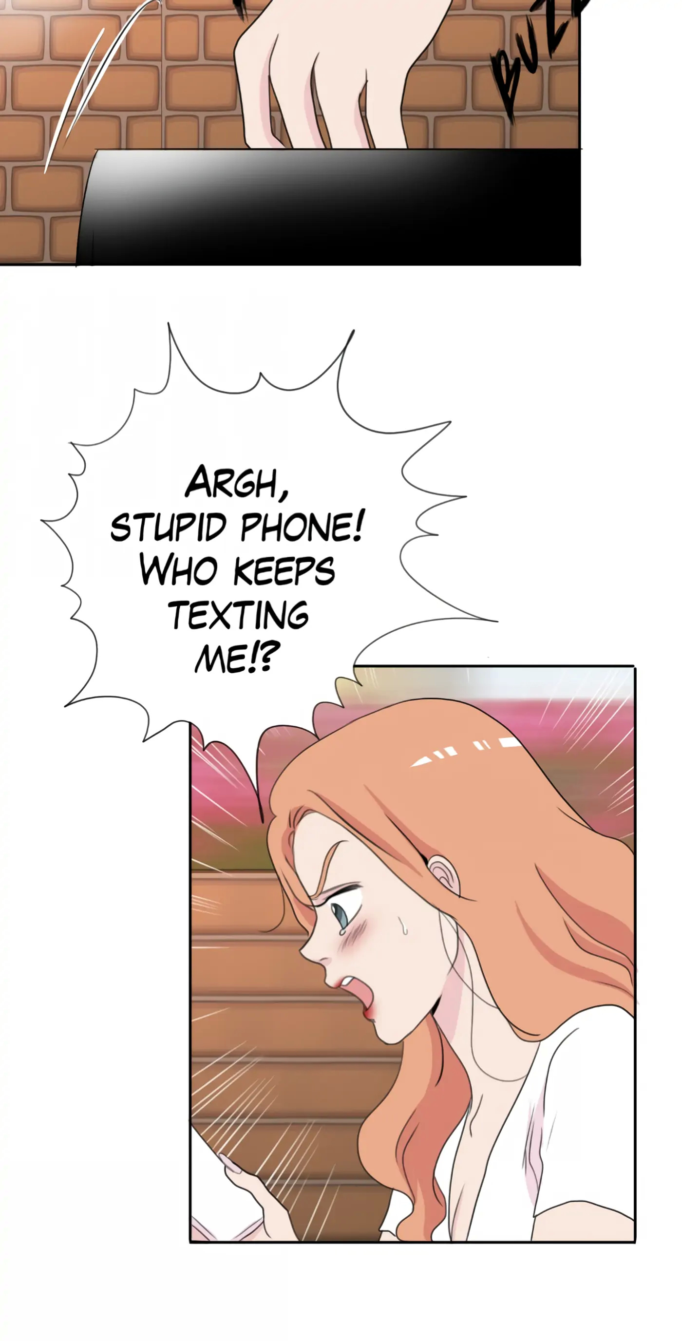 Borrowed Beauty chapter 20 - page 21