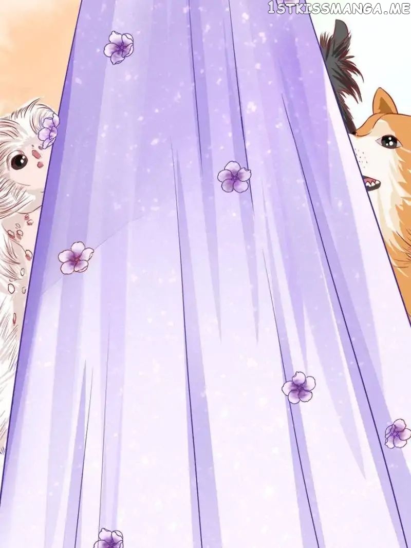 Childe Jiang, Would You Marry Me? chapter 43 - page 24