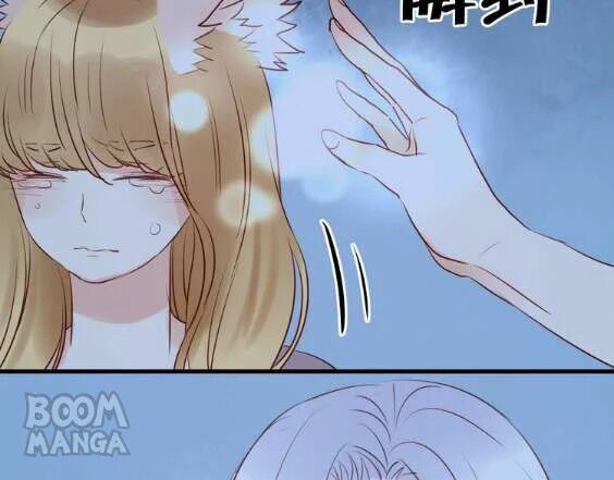 Picked up a Little Fox Chapter 37 - page 65