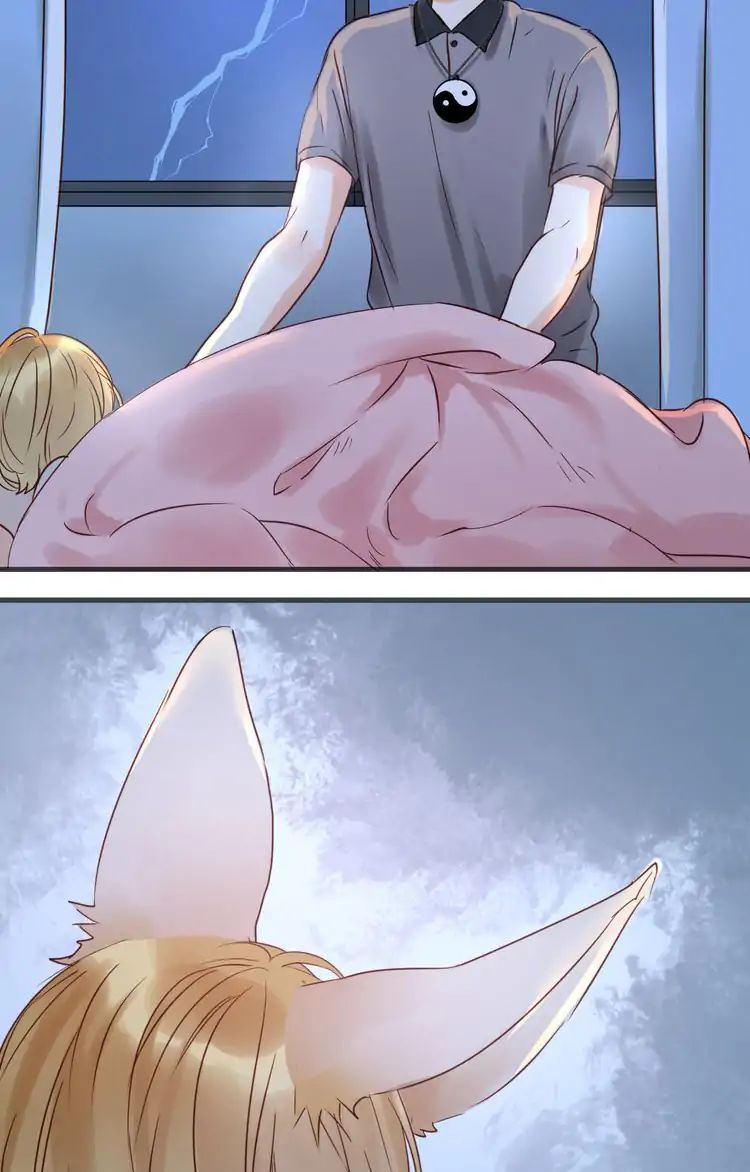 Picked up a Little Fox Chapter 14 - page 27