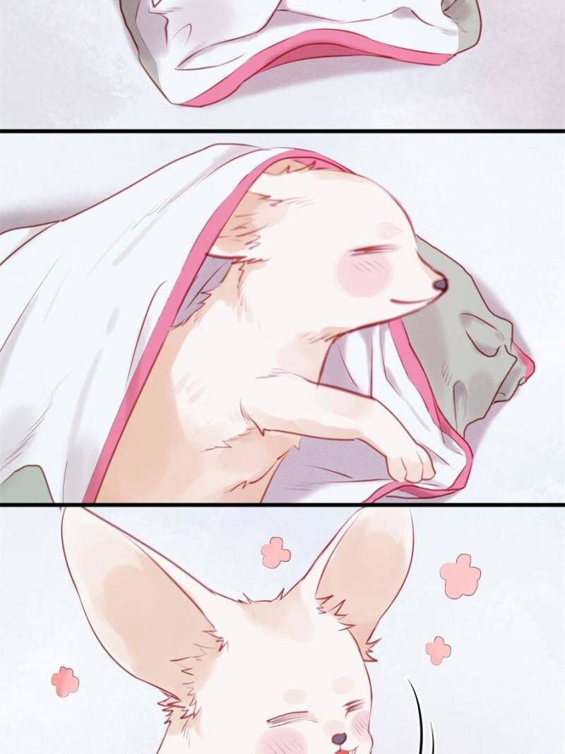 Picked up a Little Fox Chapter 48 - page 15