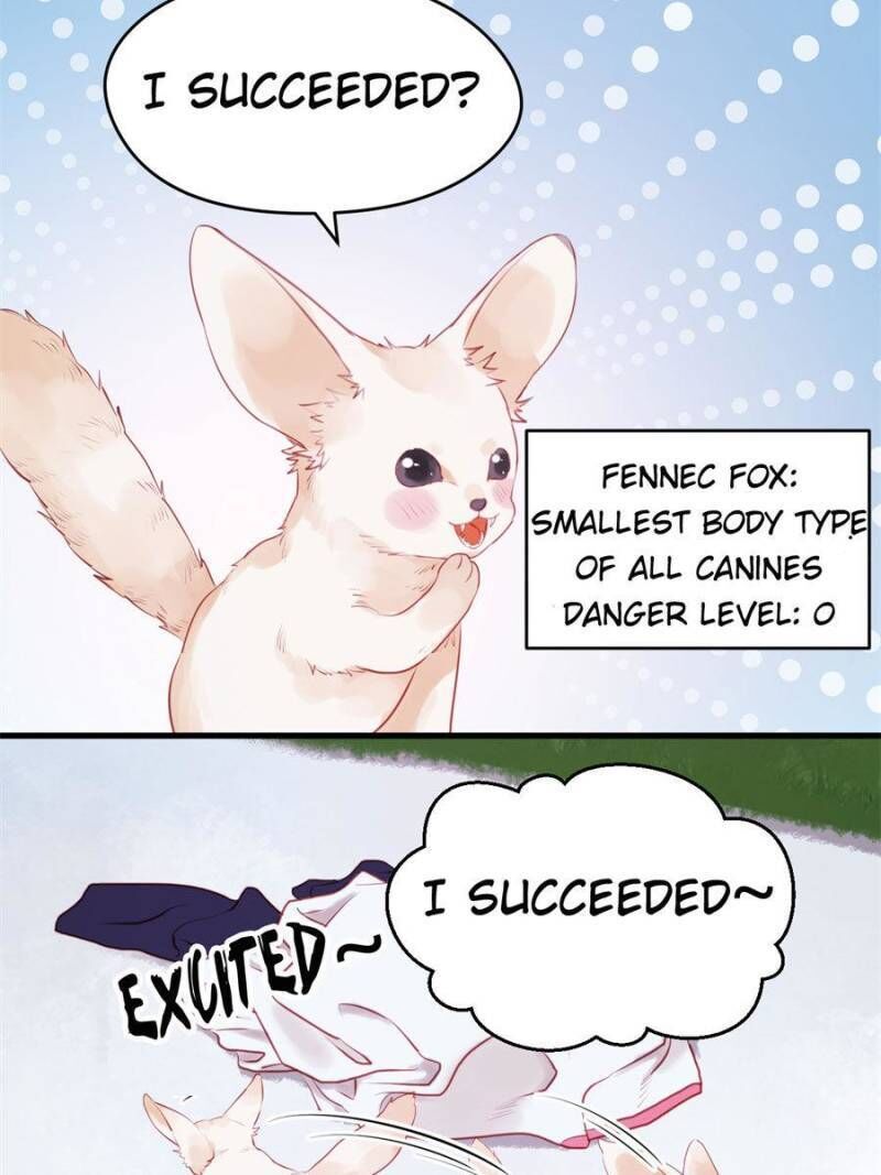 Picked up a Little Fox Chapter 48 - page 18