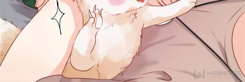 Picked up a Little Fox Chapter 48 - page 26