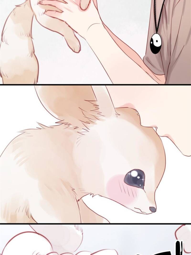 Picked up a Little Fox Chapter 48 - page 36
