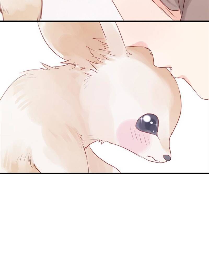 Picked up a Little Fox Chapter 49 - page 2
