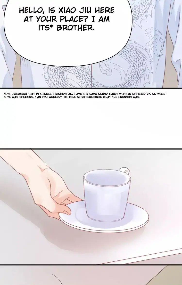 Picked up a Little Fox Chapter 18 - page 13