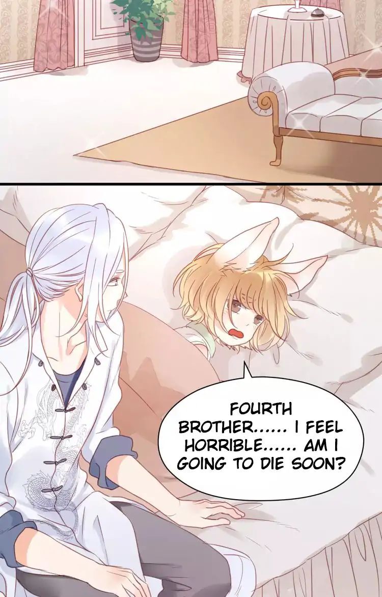Picked up a Little Fox Chapter 20 - page 12