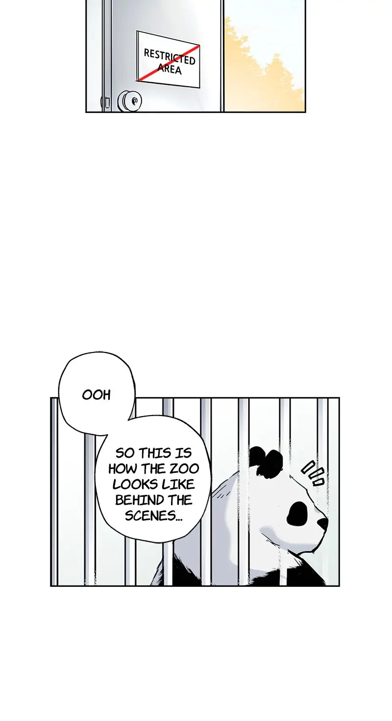 Safari Romance chapter 40 - page 13