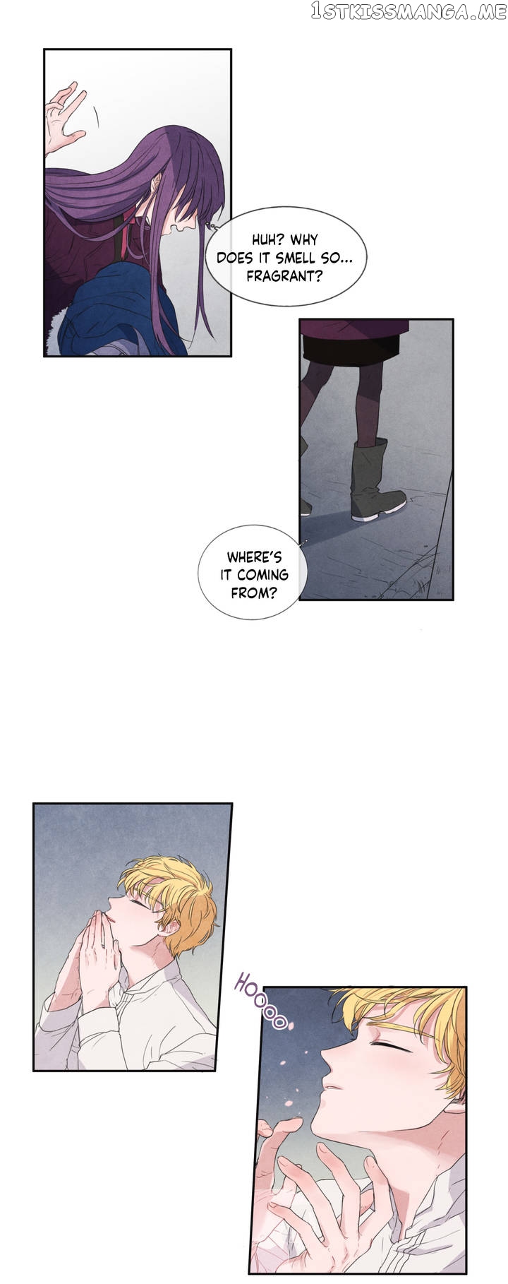The Knight of the Falling Star chapter 3 - page 24