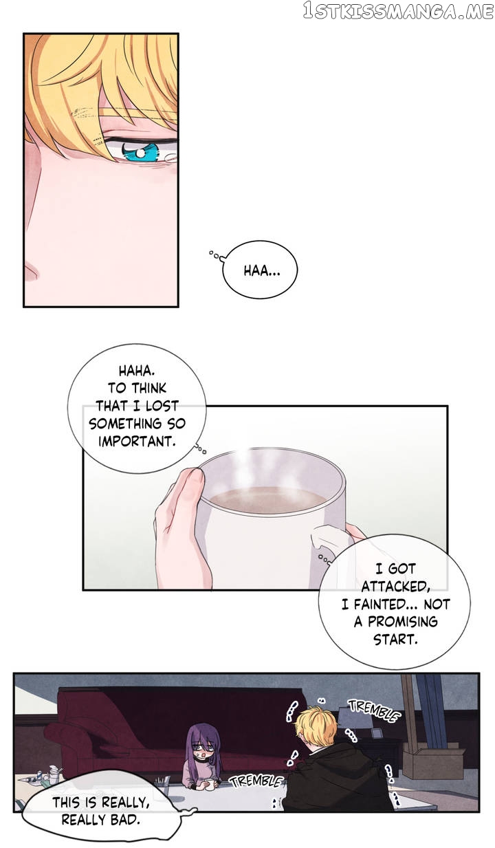 The Knight of the Falling Star chapter 3 - page 4