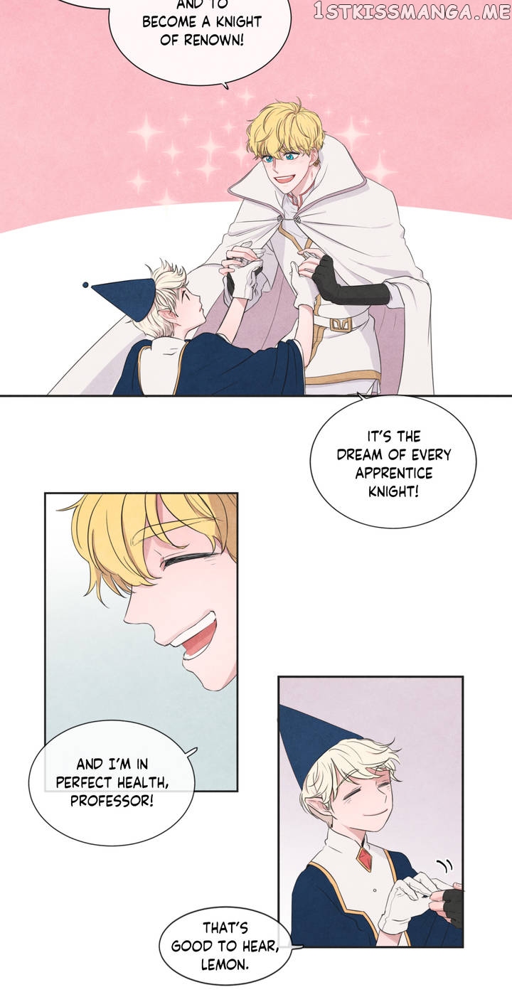The Knight of the Falling Star chapter 1 - page 13
