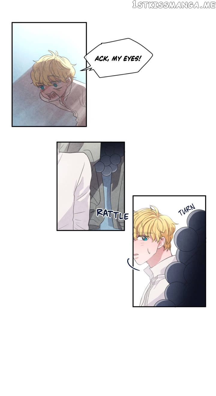 The Knight of the Falling Star chapter 2 - page 11