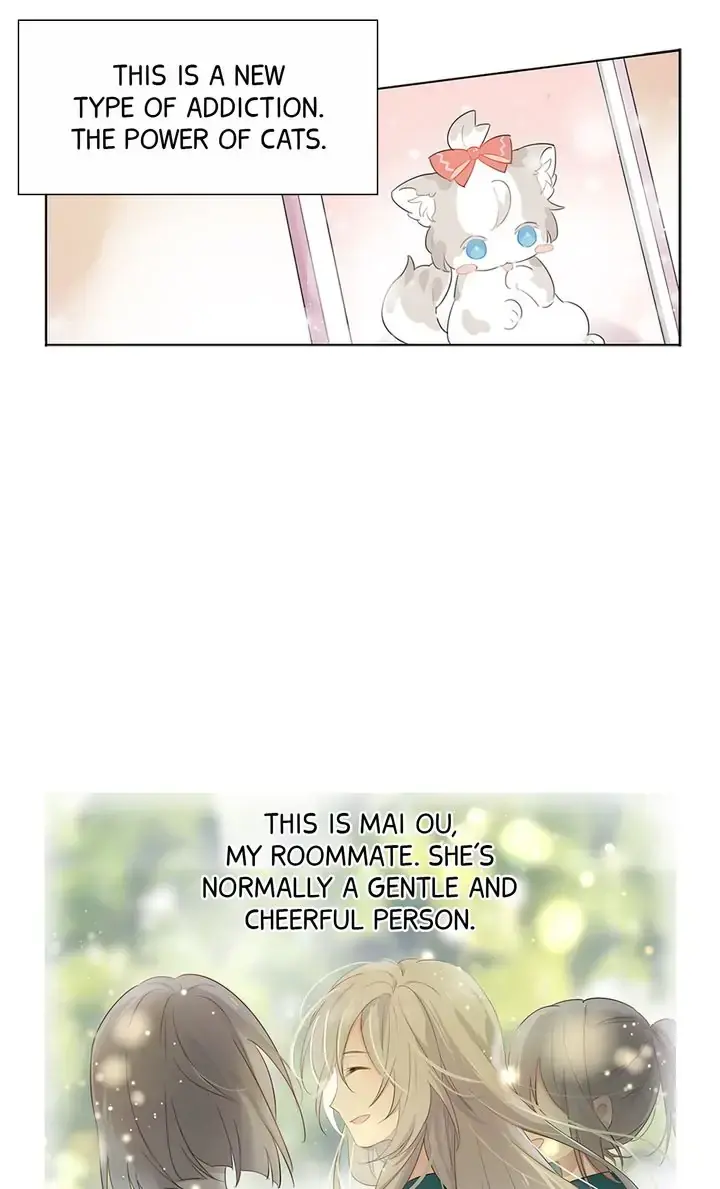 The Prince is a Cat Chapter 1 - page 13
