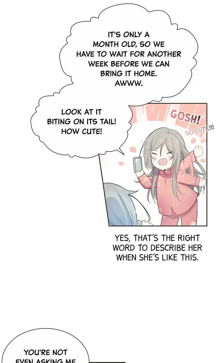 The Prince is a Cat Chapter 1 - page 15