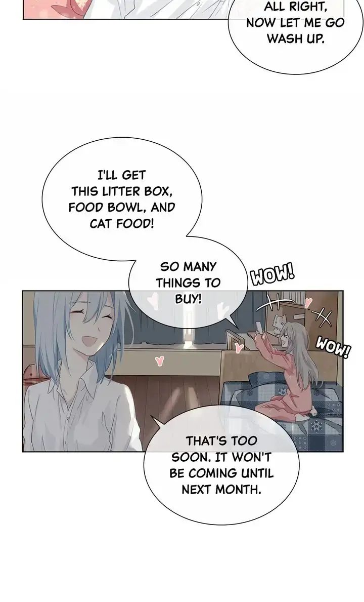 The Prince is a Cat Chapter 1 - page 18