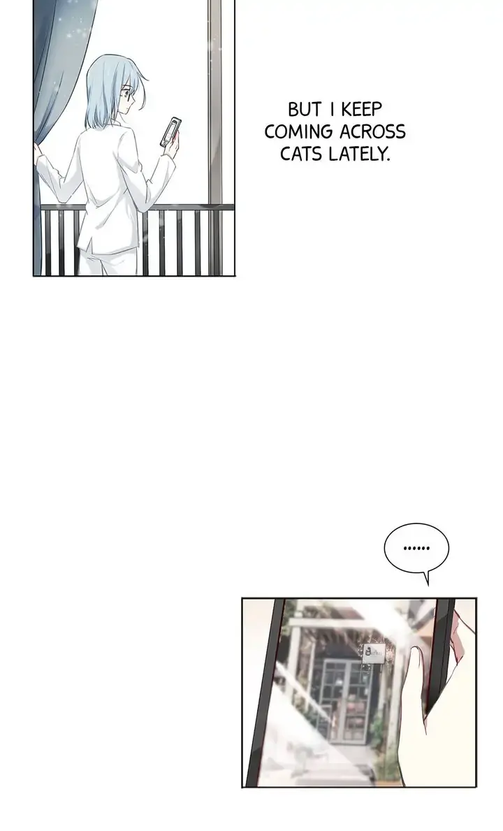 The Prince is a Cat Chapter 1 - page 28