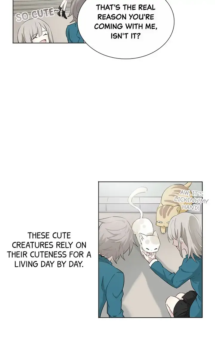 The Prince is a Cat Chapter 1 - page 32