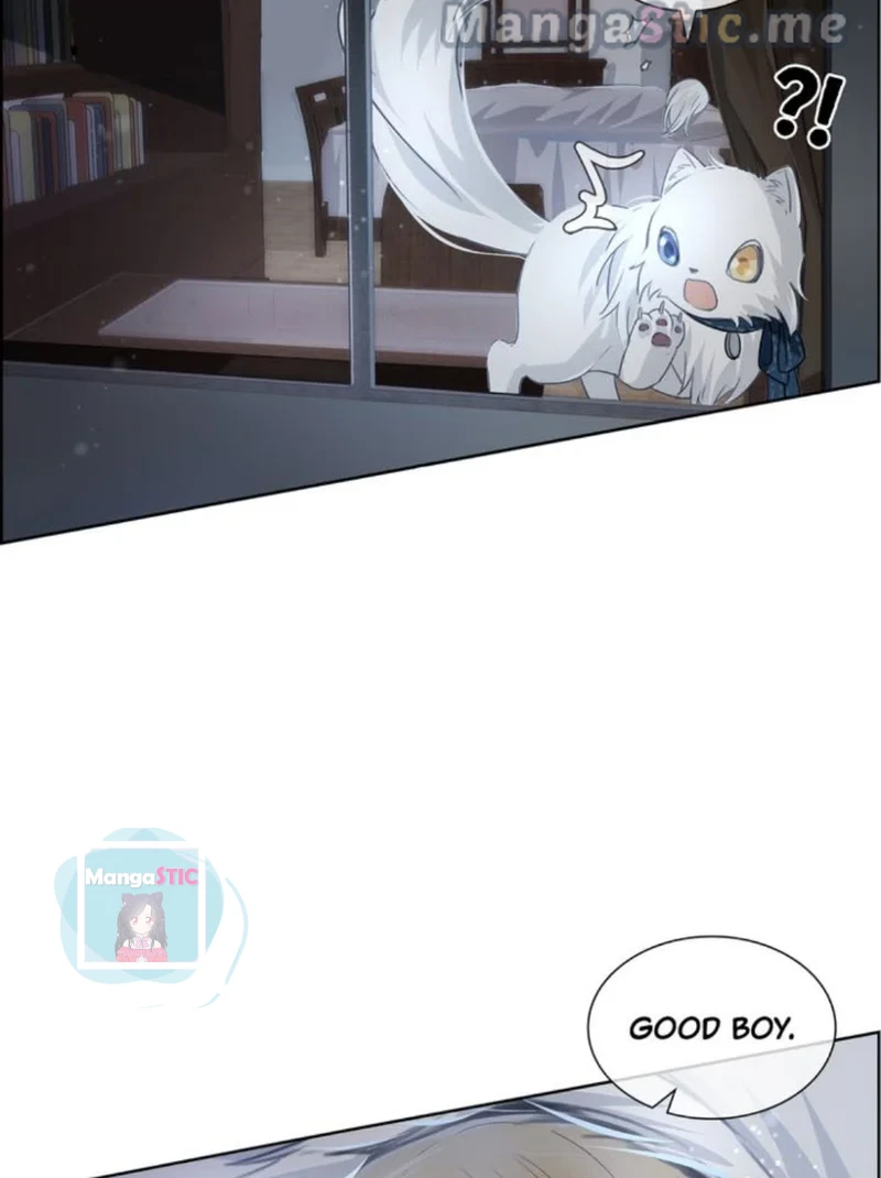 The Prince is a Cat Chapter 8 - page 15