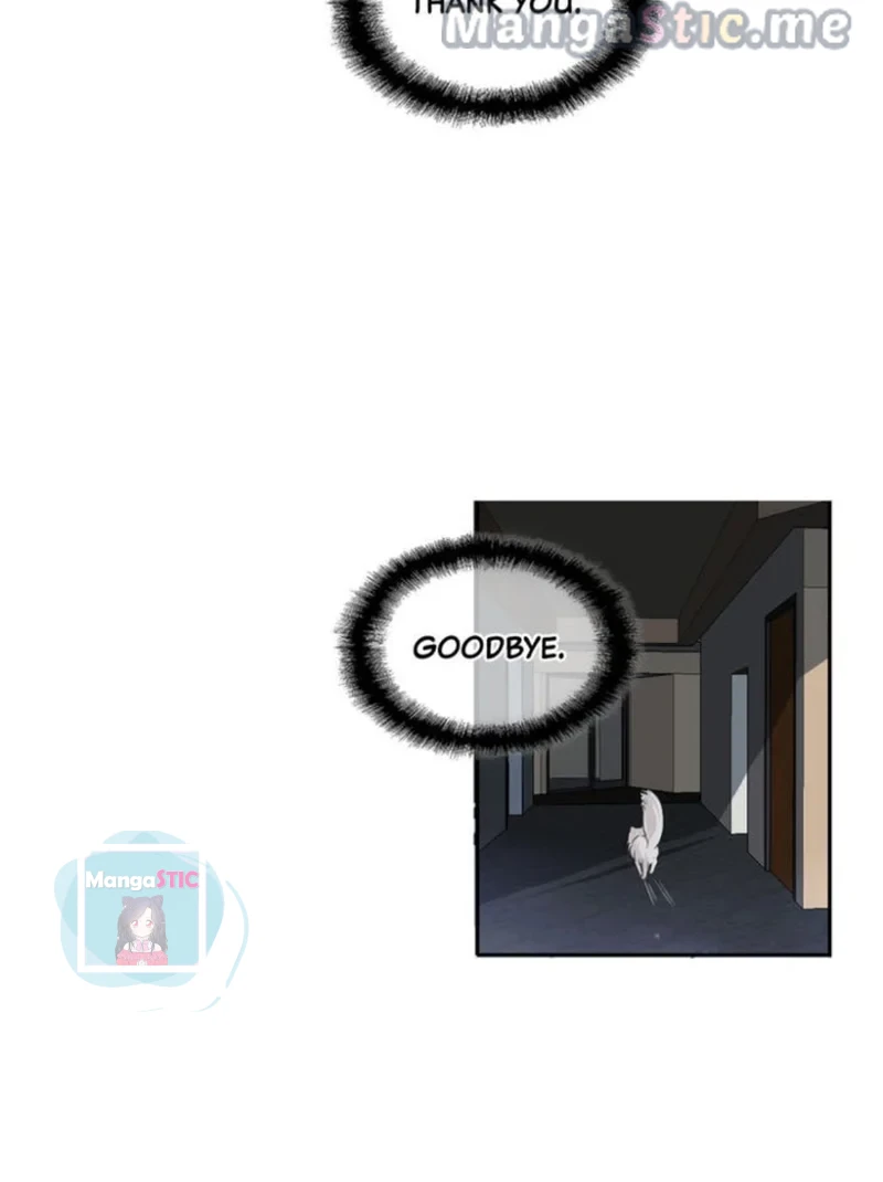 The Prince is a Cat Chapter 8 - page 17