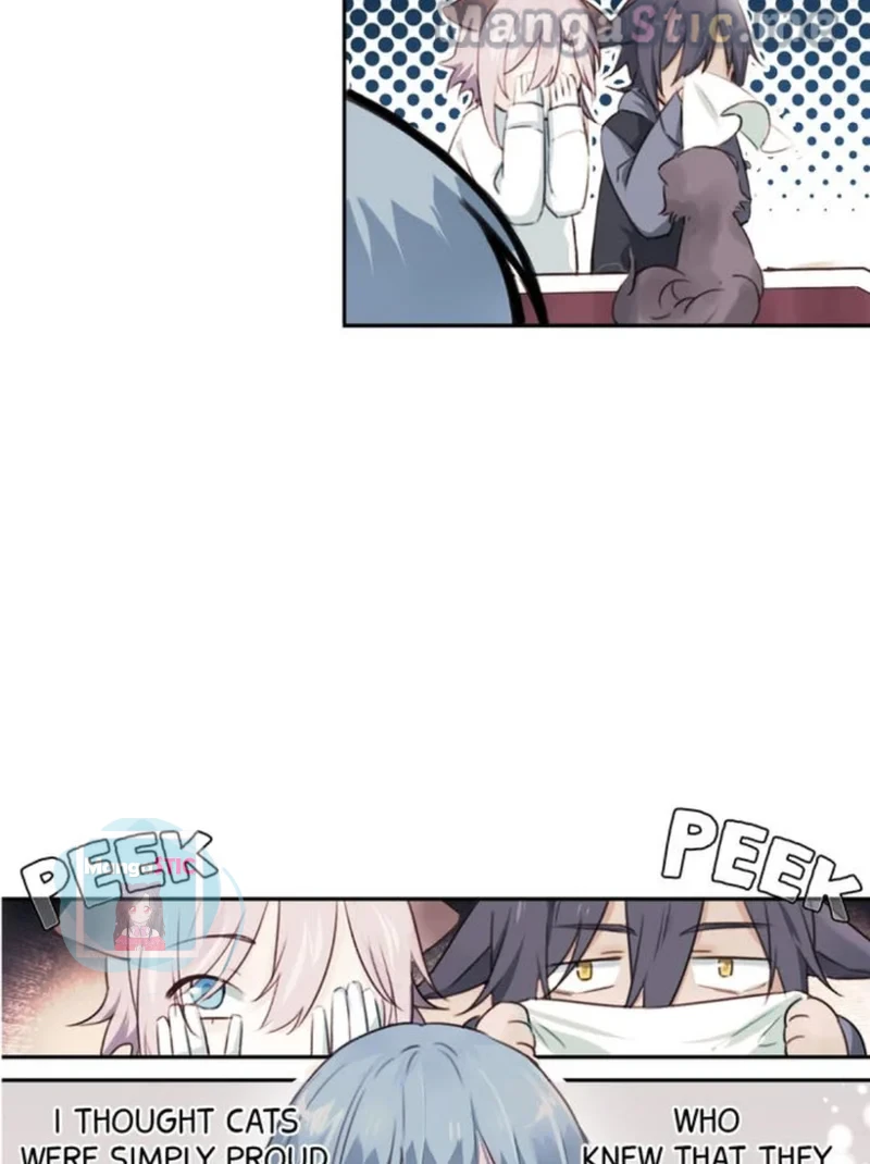 The Prince is a Cat Chapter 8 - page 21