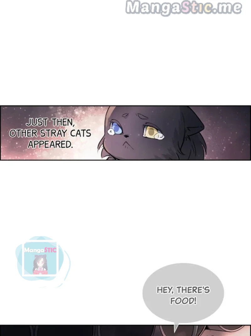 The Prince is a Cat Chapter 8 - page 29